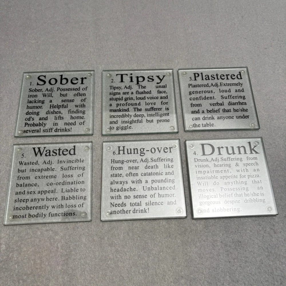 Funny Dictionary Definition Glass Coasters Set of 6 Barware Home Decor Frosted